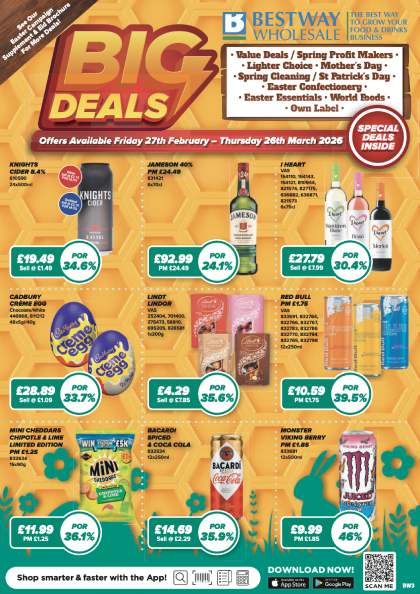 Promotional Brochure